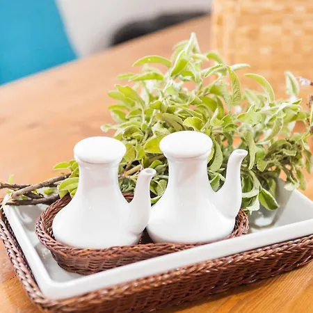 Maria's Traditional 公寓 Asklipiion